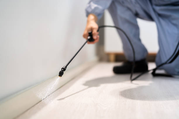 Professional exterminator conducting IPM assessment in Cold Springs