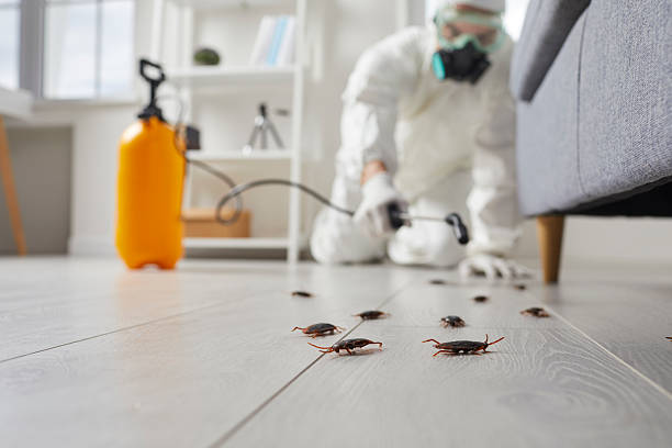 Commercial Rodent Management in Cold Springs
